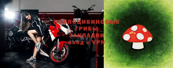 ГАЛЛЮЦИНОГЕННЫЕ ГРИБЫ Балахна