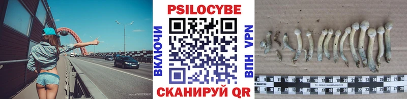Галлюциногенные грибы GOLDEN TEACHER Сафоново